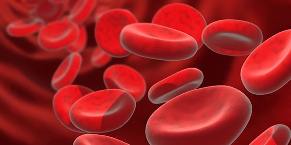 red blood cells