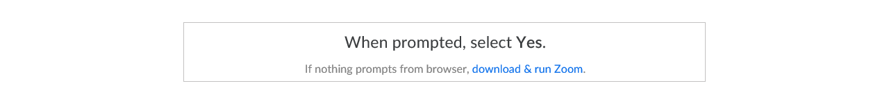 Prompt to Run Zoom screenshot